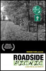 Фото Roadside Picnic
