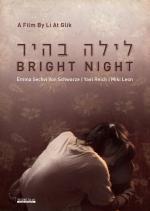 Bright Night: 1417x1984 / 347 Кб