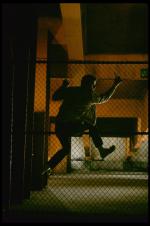 Вестсайдская история: 1365x2048 / 468 Кб