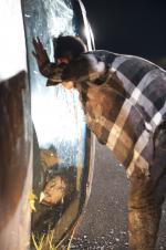 Ходячие мертвецы: 1362x2048 / 426 Кб