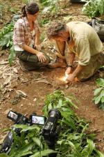 Река: 427x640 / 87 Кб