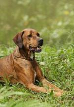 Река: 448x640 / 59 Кб