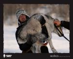 Wolves Unleashed: 1200x960 / 128 Кб