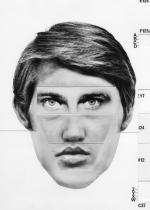 Stealing Elvis: 1463x2048 / 334 Кб