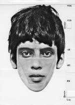 Фото Stealing Elvis