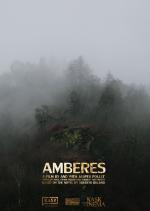 Фото Amberes