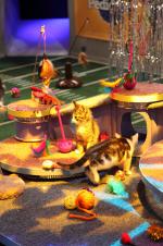 Puppy Bowl VIII: 1365x2048 / 544 Кб