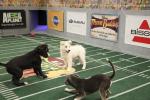 Puppy Bowl VIII: 1365x910 / 220 Кб