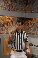 Puppy Bowl VIII: 1365x2048 / 340 Кб