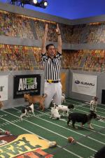 Puppy Bowl VIII: 1365x2048 / 473 Кб