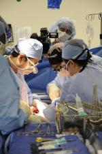 NY Med: 426x640 / 47 Кб