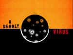 Violencenza: A Deadly Virus: 720x540 / 39 Кб