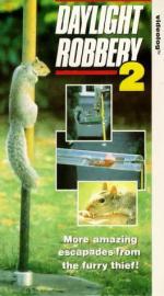 Фото Daylight Robbery 2