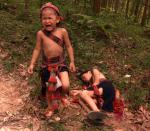 Silent Jungle: 911x795 / 193 Кб