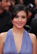 Че: Часть вторая: 272x400 / 19 Кб