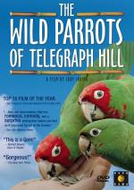 The Wild Parrots of Telegraph Hill: 450x635 / 70 Кб