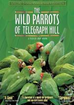The Wild Parrots of Telegraph Hill: 354x500 / 54 Кб