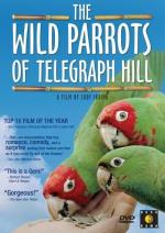 The Wild Parrots of Telegraph Hill: 354x500 / 49 Кб