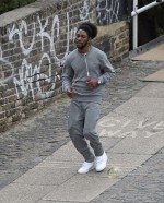 Дом Хемингуэй: 500x618 / 149.34 Кб