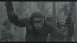 Планета обезьян: Революция: 640x360 / 23 Кб