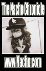 The Nacho Chronicle: 640x980 / 106 Кб