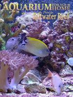 Aquarium for Your Home: Saltwater Reef: 375x500 / 82 Кб