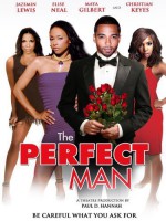 The Perfect Man: 375x500 / 47 Кб