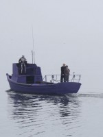 Танец реальности: 850x1133 / 135.72 Кб