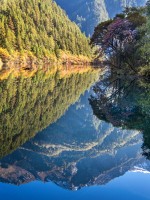 Рожденный в Китае: 750x1000 / 243.4 Кб