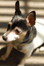 Фото Шари Карлсон