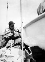 Хамфри Богарт: 328x450 / 29 Кб