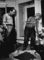 Хамфри Богарт: 330x450 / 34 Кб