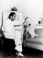 Хамфри Богарт: 331x450 / 29 Кб