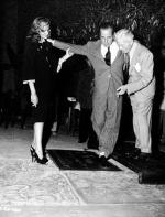 Хамфри Богарт: 344x450 / 40 Кб