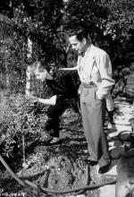 Хамфри Богарт: 307x450 / 53 Кб