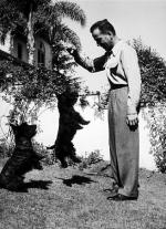 Хамфри Богарт: 327x450 / 56 Кб