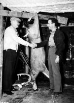 Хамфри Богарт: 322x450 / 43 Кб