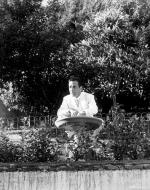 Хамфри Богарт: 356x450 / 65 Кб