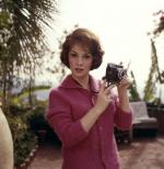 Джина Лоллобриджида: 391x400 / 31 Кб