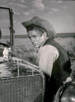 Джеймс Дин: 331x450 / 37 Кб