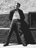 Джеймс Дин: 338x450 / 50 Кб