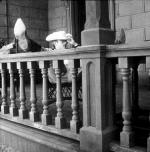 Джеймс Дин: 447x450 / 45 Кб