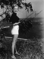 Мэрилин Монро: 338x450 / 44 Кб