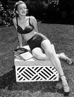 Мэрилин Монро: 347x450 / 57 Кб