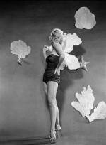 Мэрилин Монро: 331x450 / 23 Кб