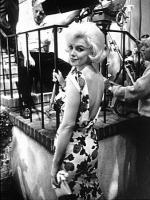 Мэрилин Монро: 338x450 / 48 Кб