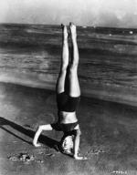 Мэрилин Монро: 352x450 / 33 Кб