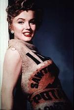 Мэрилин Монро: 303x450 / 28 Кб