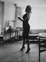 Мэрилин Монро: 338x450 / 38 Кб