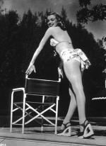 Мэрилин Монро: 328x450 / 31 Кб